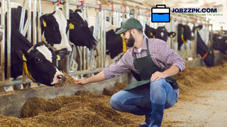 Dairy Farm worker Jobs in Canada
